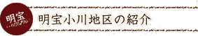 ���󏬐�n��̏Љ�