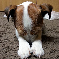 ご愛顧ありがとうございました