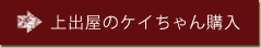 上出屋のケイちゃん購入