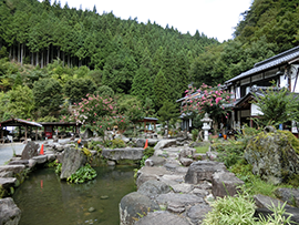 あく だ 渓流 苑 料金