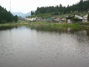 田植え前の田圃