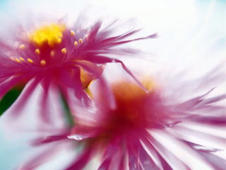 pic_a018.jpg